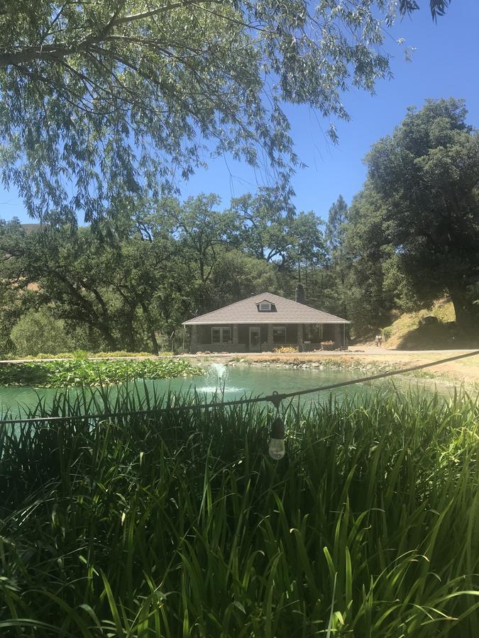 Clearlake Oaks Bed And Barrel At Stonehouse Cellars Bed & Breakfast エクステリア 写真